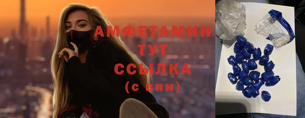 индика Алексеевка