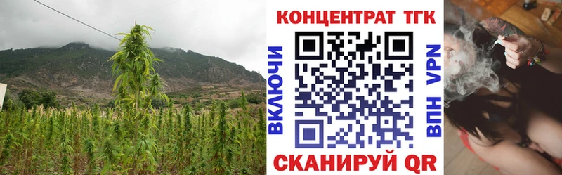 купить   Сыктывкар  ТГК вейп 